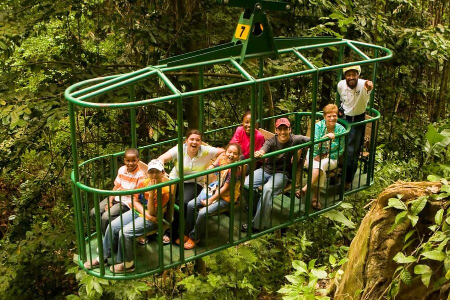 Saint Lucia: Aerial Tram Tour at Rainforest Adventures - Riding above Saint Lucia’s rainforest
