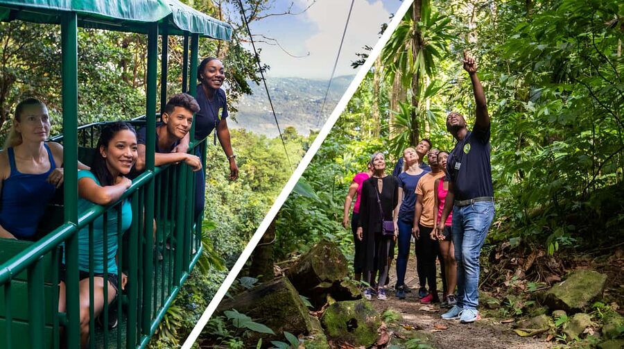 Saint Lucia: Aerial Tram Tour at Rainforest Adventures - Reaching the upper forest without a hard hike