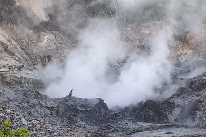 Saint Lucia Sulphur Springs Rejuvenating Mud Bath Tour - What is included for $132