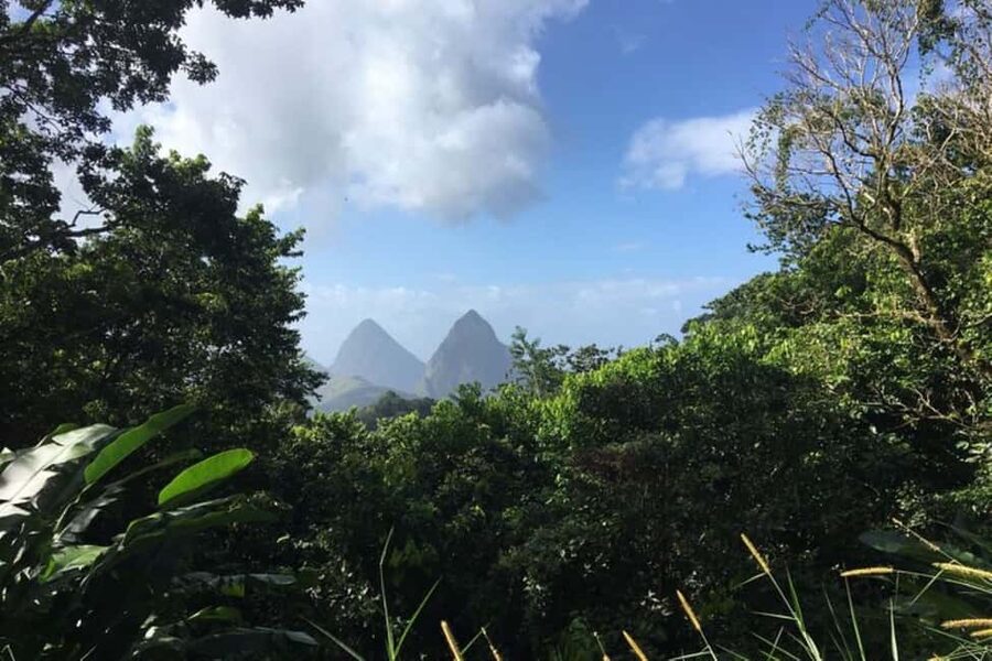 Saint Lucia: Tet Paul Nature Trail Hiking Tour & Beach - The long road to Tet Paul Nature Trail