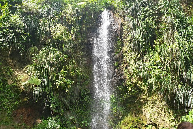 Scenic Tour of Soufriere - Roseau Beach and the banana plantation