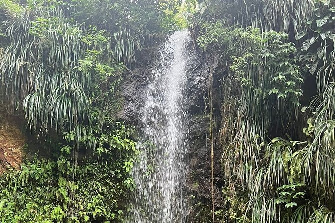 Sea and Land Tour in St. Lucia - Seeing the Pitons from the coast