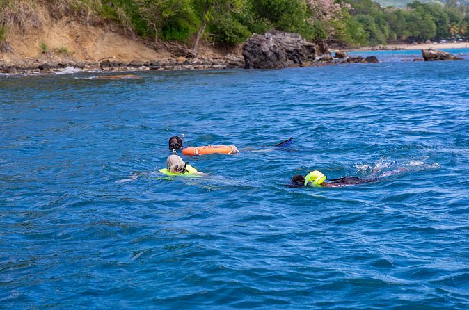 Snorkeling at Pigeon Island - Fish, coral, and the value of a good guide