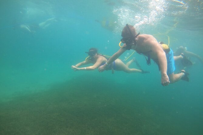SNUBA Saint Lucia - What you may see near Pigeon Island