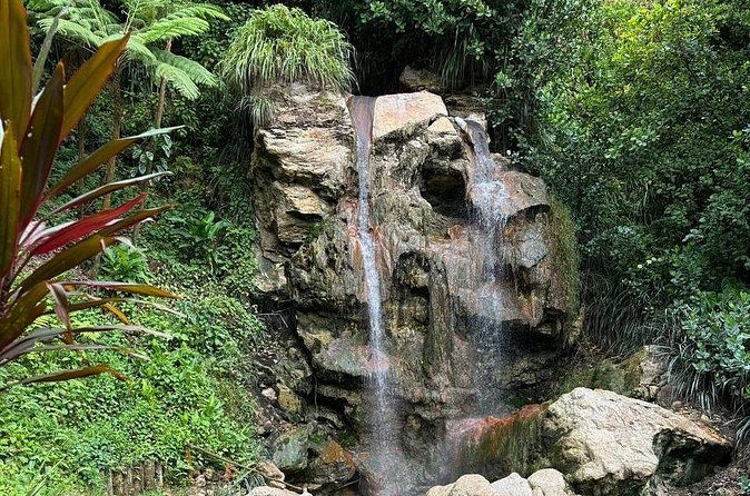 Soufriere Catamaran Excursion & Sapphire Falls Hike - Anse Cochon brings back the sea time