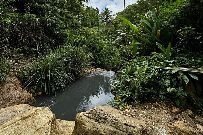Soufriere Catamaran Excursion & Sapphire Falls Hike - How the $160 price holds up