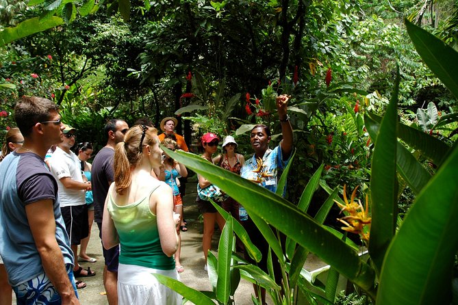 Soufriere Island Delight - Anse-La-Raye and Canaries: St. Lucia beyond the resort