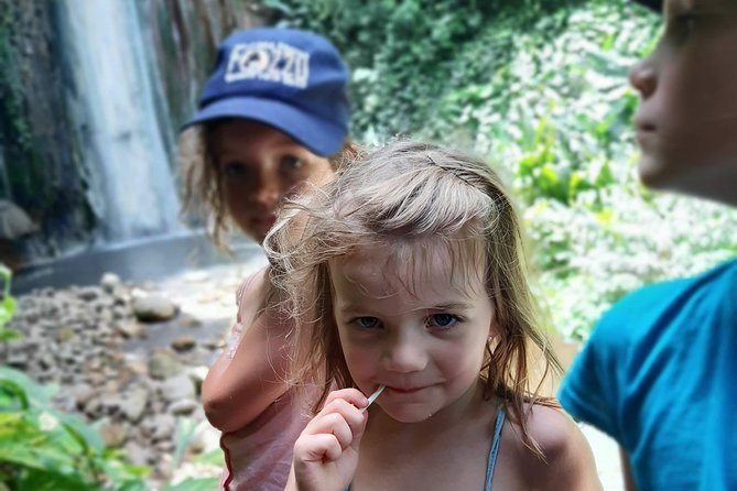 Soufriere Special Day Tour - Toraille Waterfall in a 30-minute stop