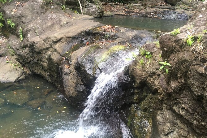 Soufriere Volcano Experience - Why this full-day St Lucia tour works