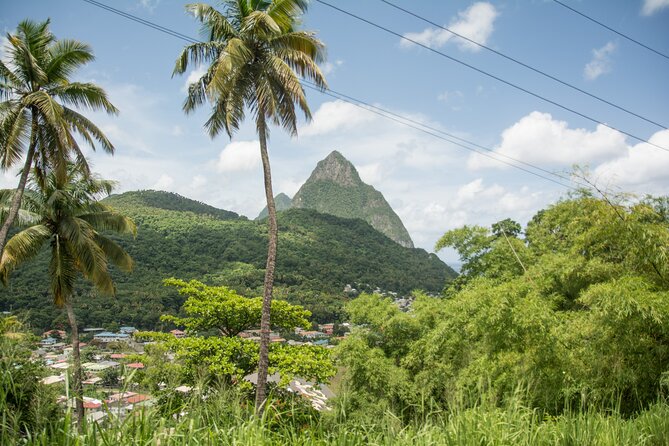 Soufriere Volcano Experience - The 15-minute walk to River Pool Waterfall