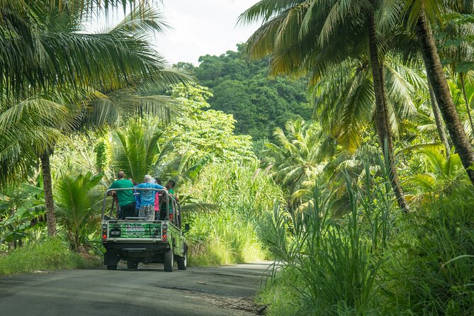 Soufriere Volcano Experience - West coast scenery and the Piton viewpoint