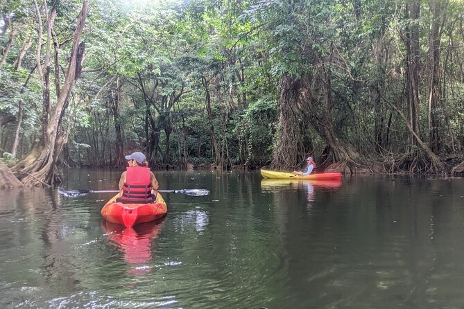 Splash Adventure Jeep and Kayak Safari - Why this St. Lucia outing works so well