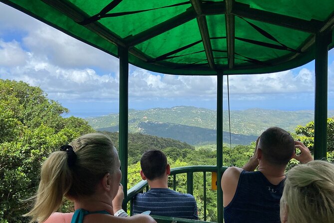 St. Lucia 3 in 1 Combo: Aerial Tram, Rainforest Trail & Zipline - Eight zip lines provide the day’s main rush