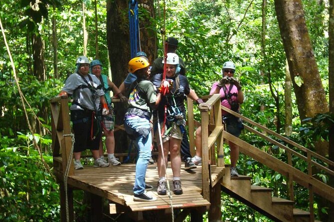 St. Lucia 3 in 1 Combo: Aerial Tram, Rainforest Trail & Zipline - Why the $107 price can make sense