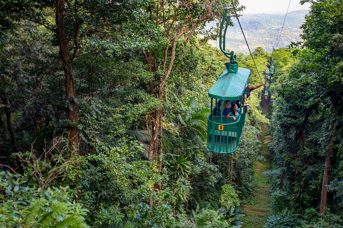 St. Lucia Aerial Tram Tour at Rainforest Adventures - Key points to know before booking