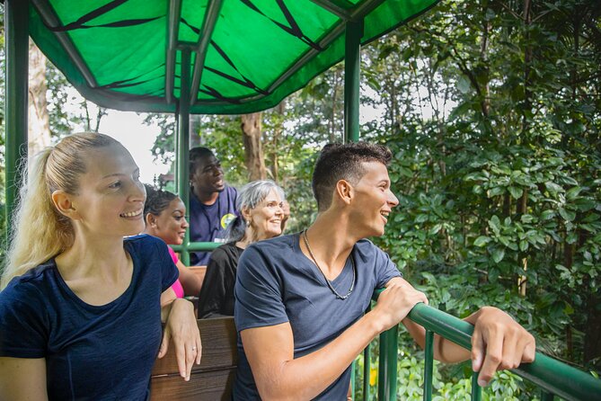 St. Lucia Aerial Tram Tour at Rainforest Adventures - The 1-hour-20-minute canopy ride is the main event