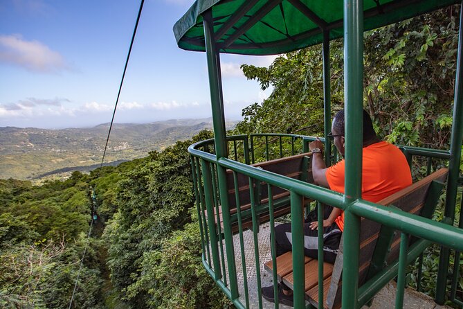 St. Lucia Aerial Tram Tour at Rainforest Adventures - The optional 20-minute fern trail brings you back to ground level