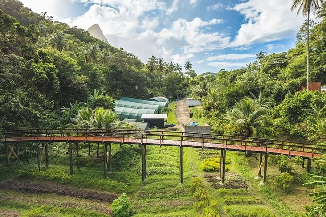 St Lucia Airport Transfer to Hotel Chocolat - The 50-minute drive toward Soufriere
