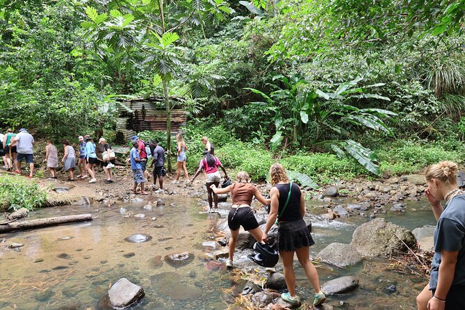 St Lucia ATV Tour : Waterfall, Plantation, Beach and Distillery - Through banana country with Farmer Peter