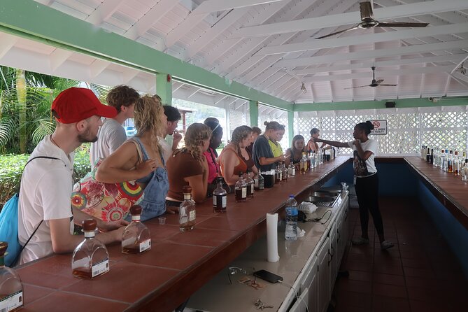 St Lucia ATV Tour : Waterfall, Plantation, Beach and Distillery - Rainforest routes and the waterfall walk