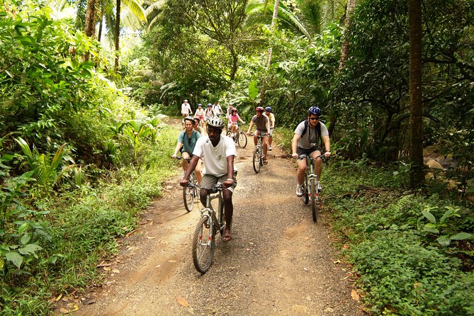 St Lucia Bike and Hike - A half-day in St Lucia’s eastern interior