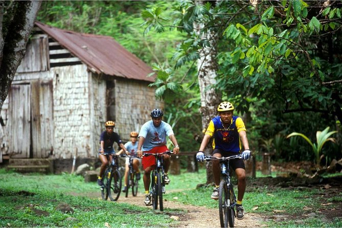St Lucia Bike and Hike - Dennery and the route toward the falls