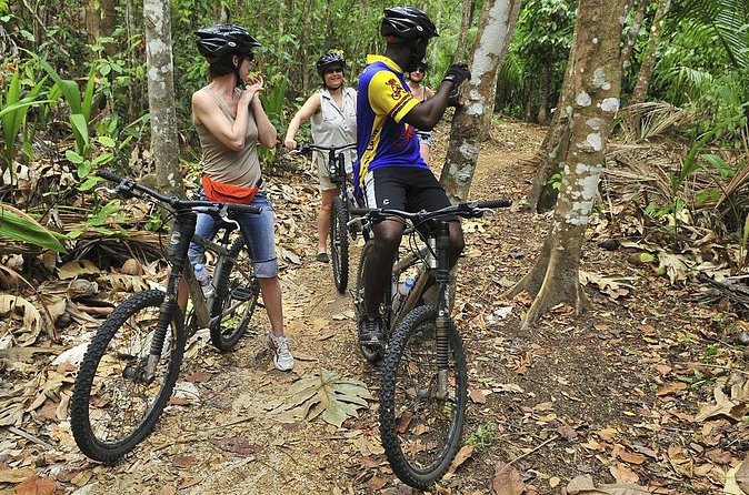 St Lucia Bike and Hike - Errard Falls, the cool payoff