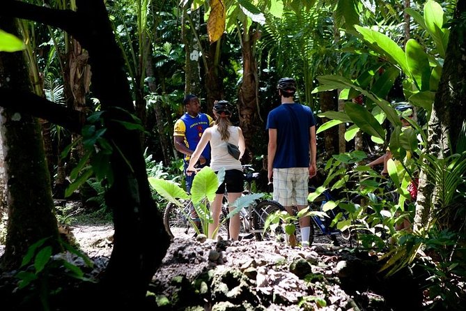 St Lucia Bike and Hike - How much value do you get for $69.24?