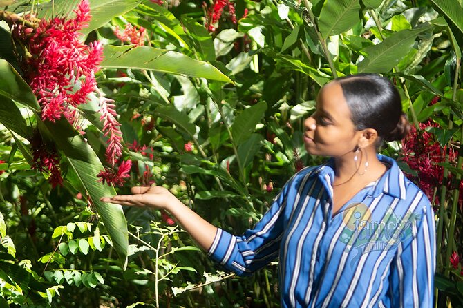 St. Lucia Botanical Gardens and Waterfall Tour Groups only - How to make the day go better