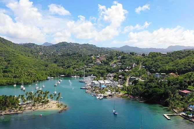 St. Lucia Botanical Gardens and Waterfall Tour Groups only - Diamond Botanical Gardens and its warm mineral setting
