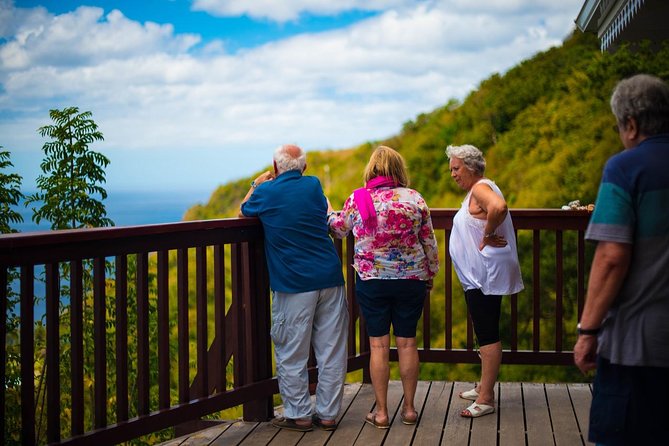 St Lucia Cruise Ship Excursion - Toraille Waterfall provides a quick cold rinse