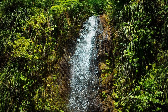 St Lucia Cruise Ship Excursion - Your guide shapes the whole experience