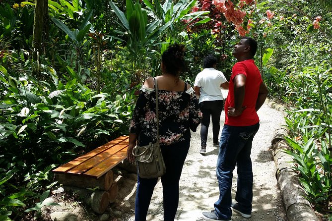 St Lucia Diamond Mineral and Mud Baths Plus Waterfall Adventure - The guides can shape the whole day