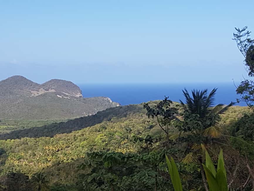 St Lucia: Gros Piton 4-Hour Guided Hike - Value depends on what you want from St. Lucia