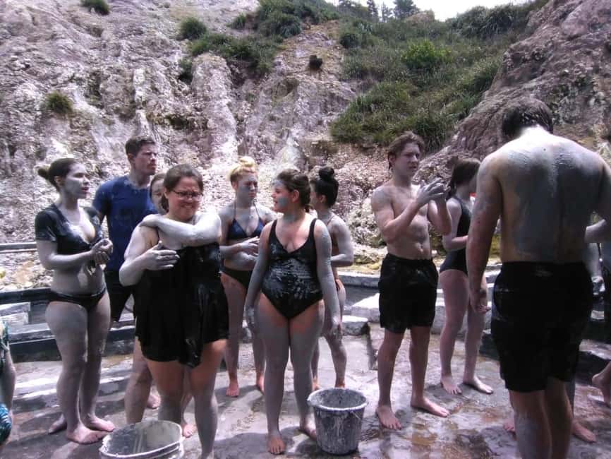 St. Lucia: Highlights Tour with mud baths and waterfalls - Diamond Falls Botanical Gardens