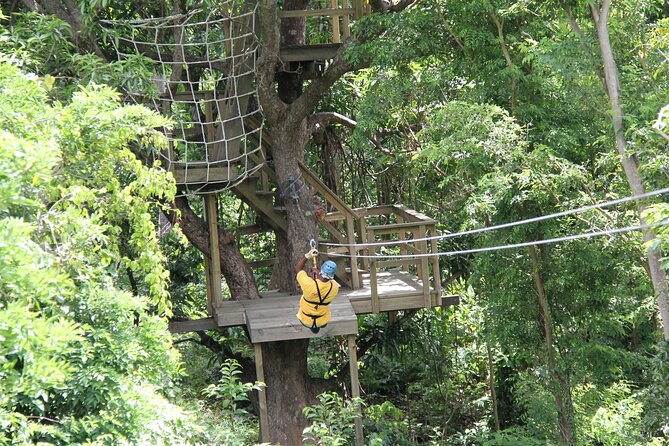 St. Lucia Morne Coubaril Estate Zipline Experience - Safety, speed, and comfort with heights