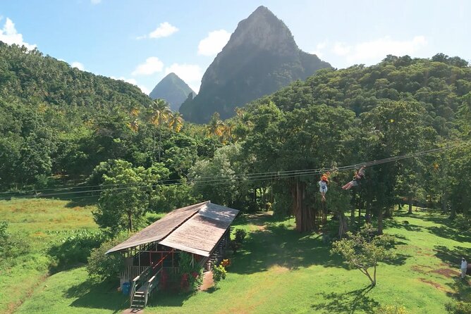 St. Lucia Morne Coubaril Estate Zipline Experience - Eight cables, 16 platforms, and changing views