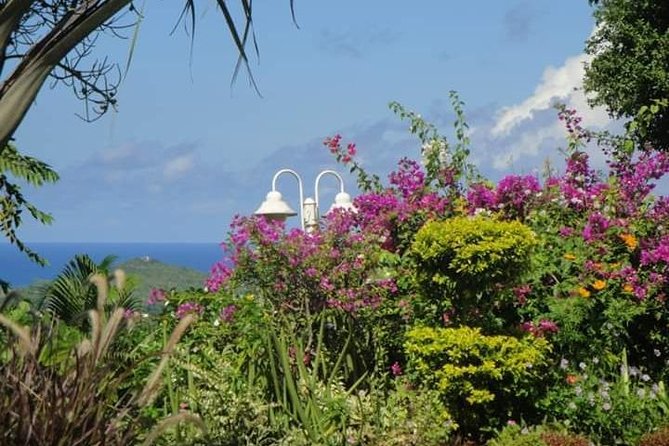 St Lucia Northern Island Tour - Lucians Country House and the short forest walk