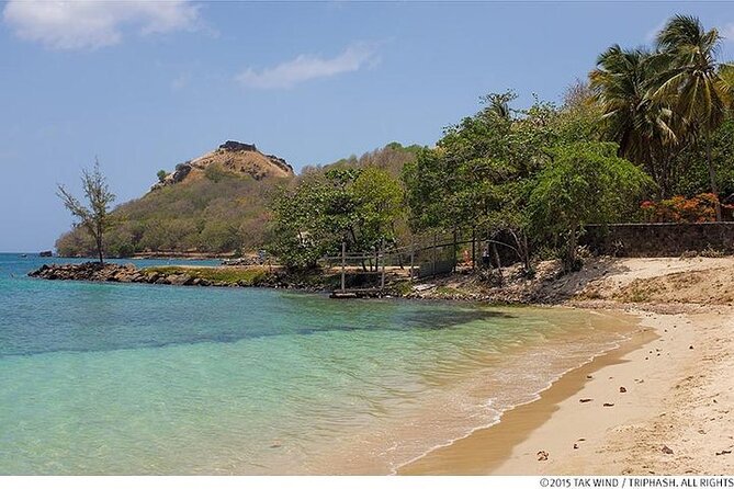 St Lucia Pigeon Island Ultimate Relax-Experience (Inc-Lunch) - The drive through Rodney Bay sets the scene
