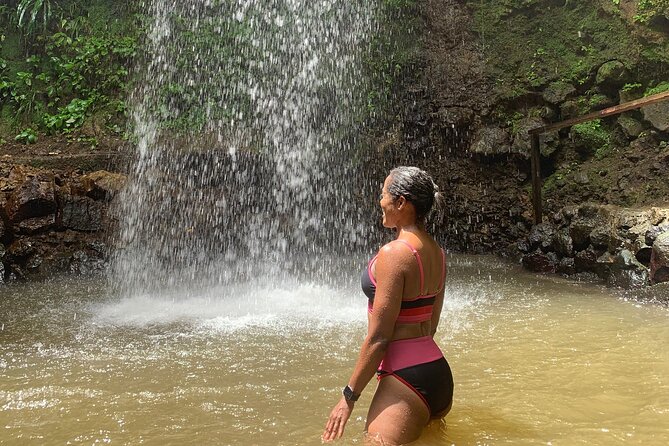 St Lucia Pitons Waterfalls and Mud Bath Experience. - Lunch, transport, and the real value of $144