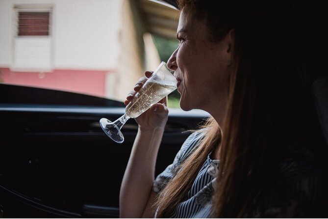 St Lucia Private Airport Transfer - Vacation Mode Activated! - Who will appreciate this transfer most