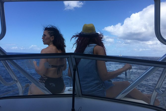 St. Lucia Private Boat Tour, Mud Bath, Waterfall & Beach Time - Toraille Waterfall and the cold-water shock