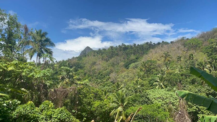 St. Lucia: Safi Estate, Volcano Waterfalls Experience - A Short Estate Walk With More Than Scenery