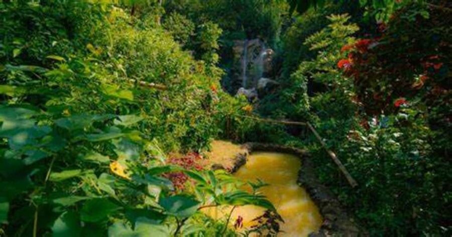 St. Lucia: Safi Estate, Volcano Waterfalls Experience - Old Ruins and the Estate’s Past