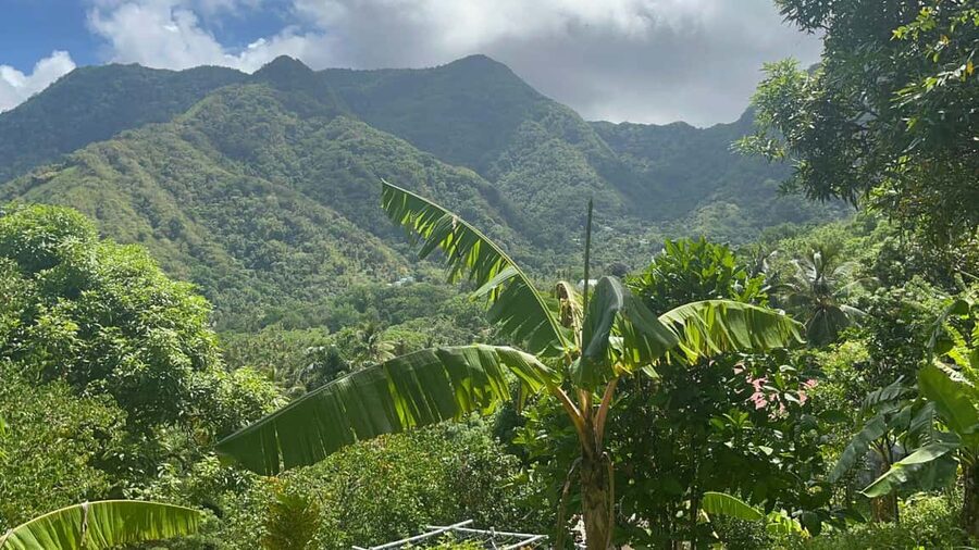 St. Lucia: Safi Estate, Volcano Waterfalls Experience - Walking Through Plants, Fruit, and Family Memory