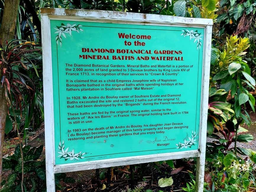 St. Lucia: Scenic Nature Hike & Botanical Garden Escape - Why this route works so well