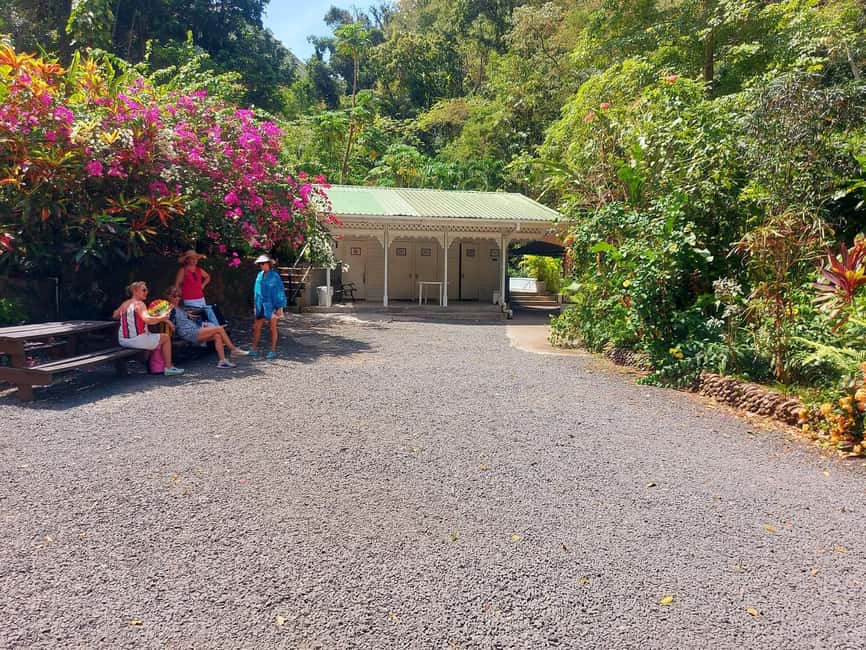 St. Lucia: Scenic Nature Hike & Botanical Garden Escape - Roseau and the road south