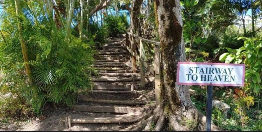 St. Lucia: Scenic Nature Hike & Botanical Garden Escape - Soufriere and the Pitons