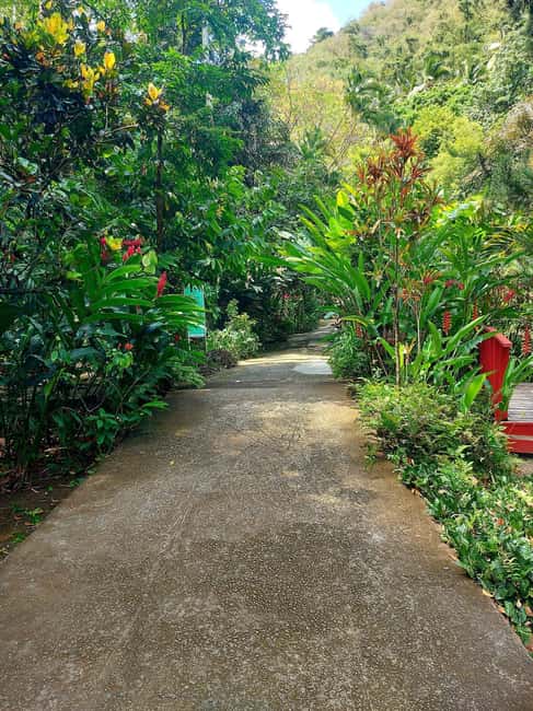 St. Lucia: Scenic Nature Hike & Botanical Garden Escape - Walking the Tete Paul Nature Trail