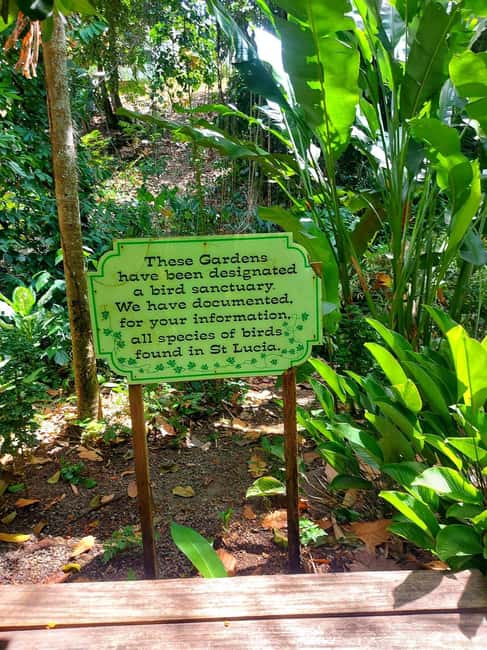 St. Lucia: Scenic Nature Hike & Botanical Garden Escape - Diamond Falls Botanical Gardens